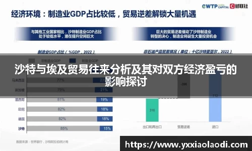 沙特与埃及贸易往来分析及其对双方经济盈亏的影响探讨