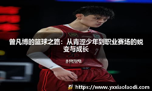 曾凡博的篮球之路：从青涩少年到职业赛场的蜕变与成长